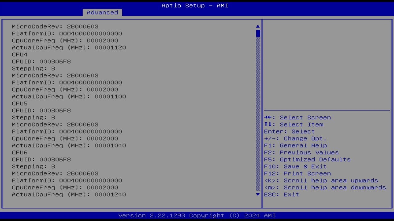 BIOS screenshot thumbnail