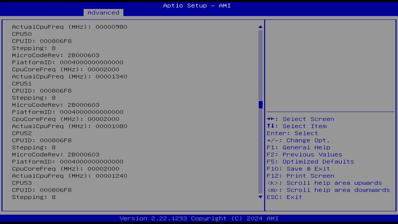 BIOS screenshot thumbnail