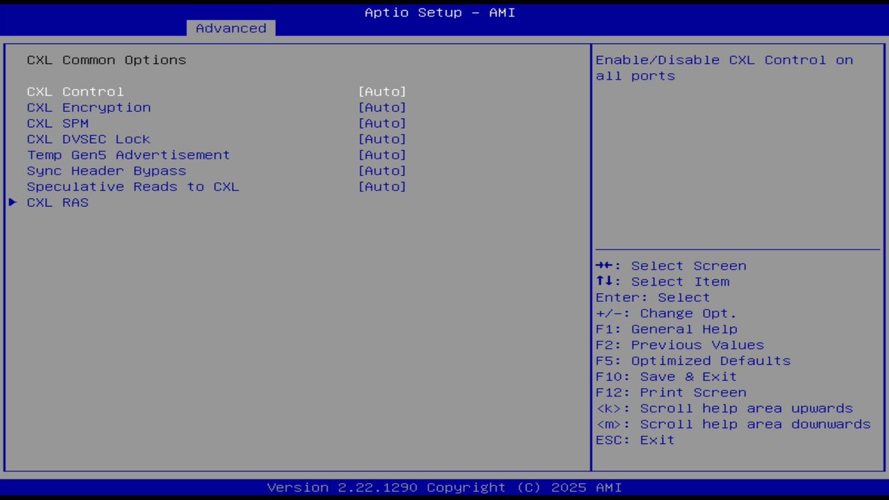 BIOS screenshot thumbnail
