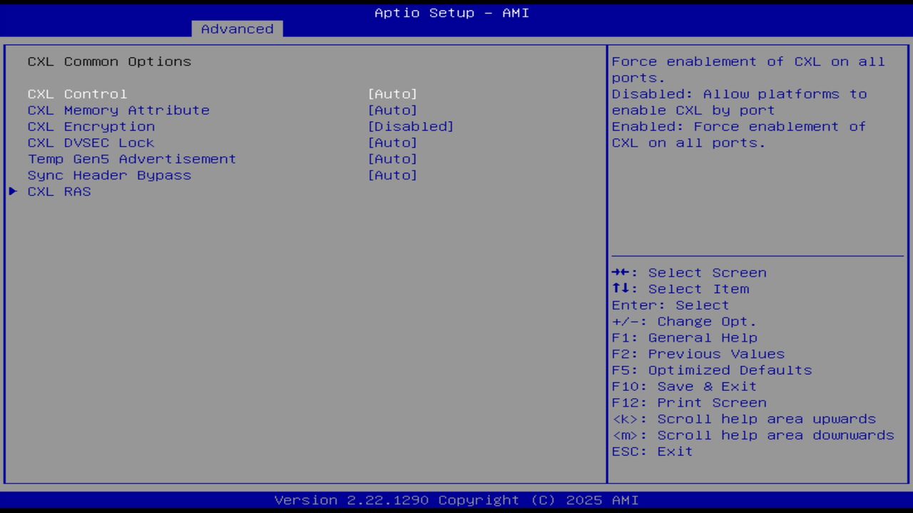BIOS screenshot thumbnail