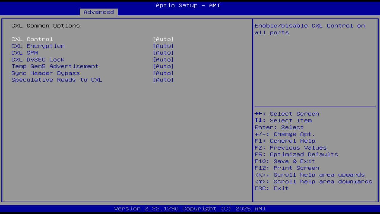 BIOS screenshot thumbnail