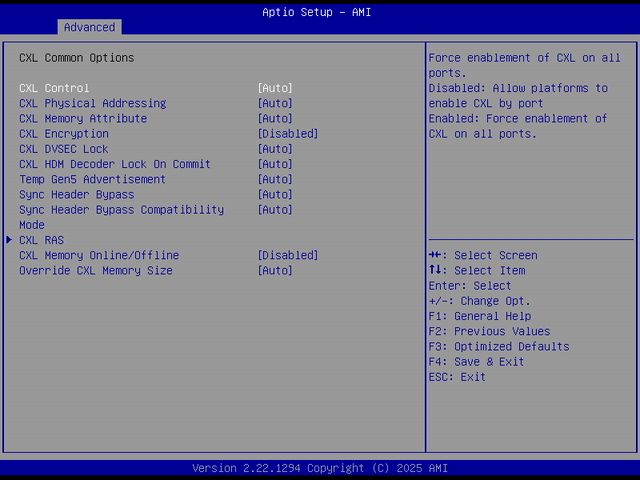 BIOS screenshot thumbnail