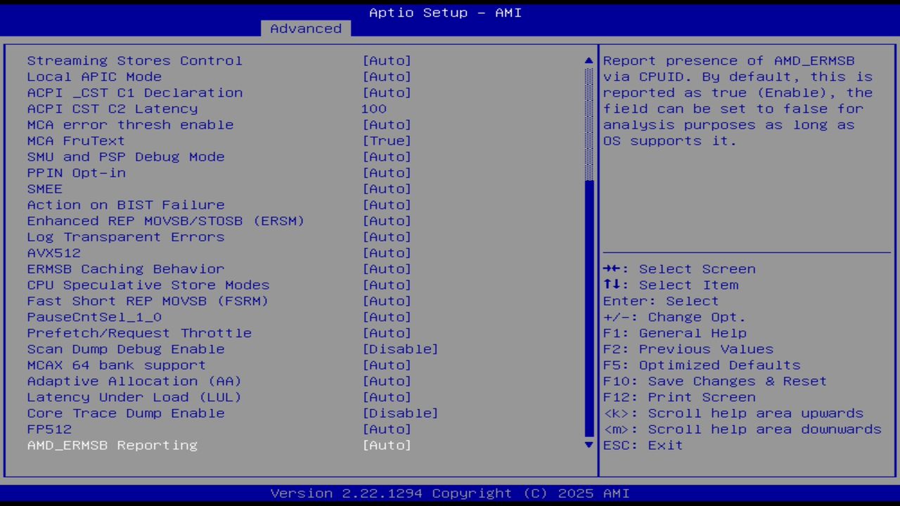 BIOS screenshot thumbnail