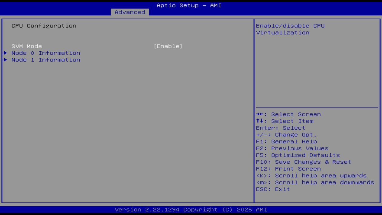 BIOS screenshot thumbnail