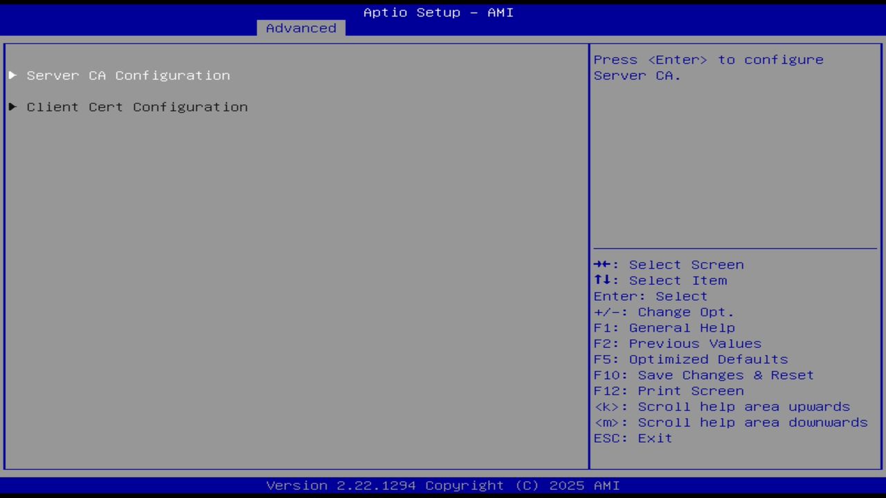 BIOS screenshot thumbnail