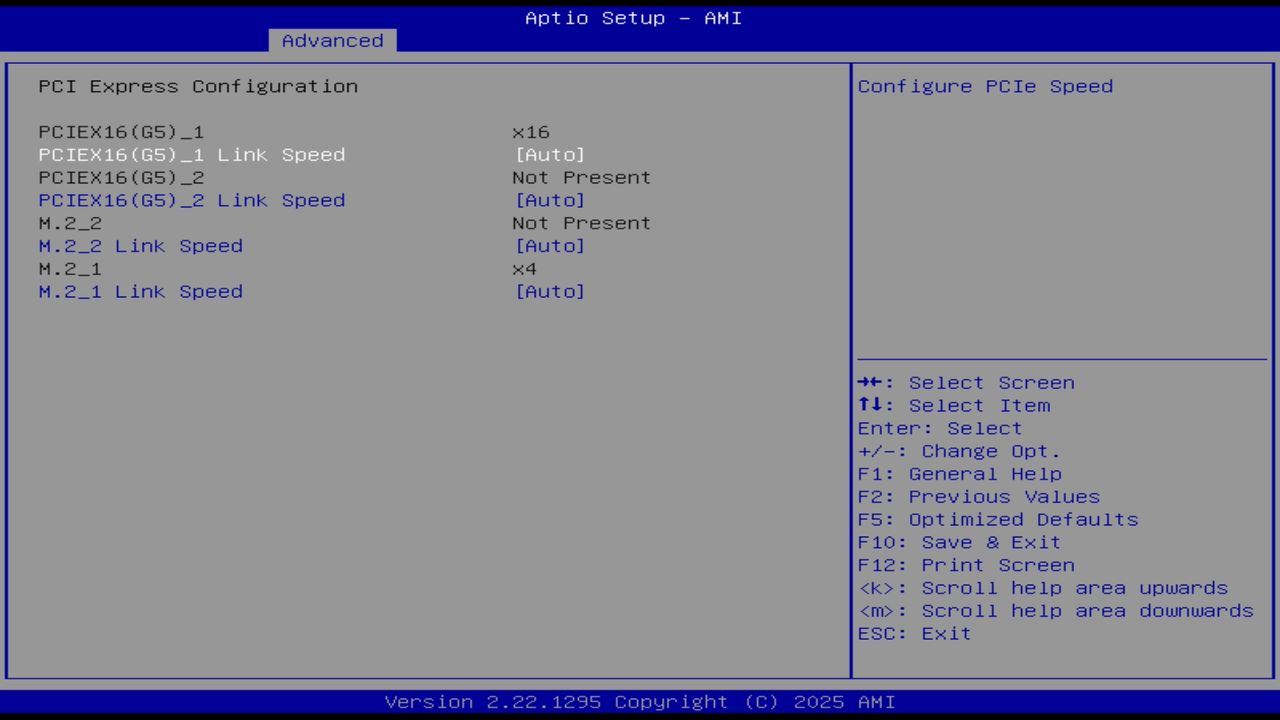 BIOS screenshot thumbnail