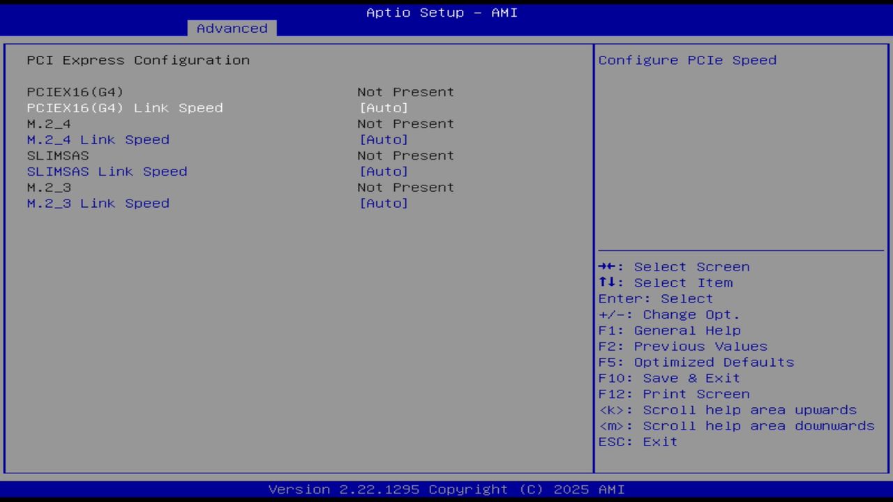 BIOS screenshot thumbnail