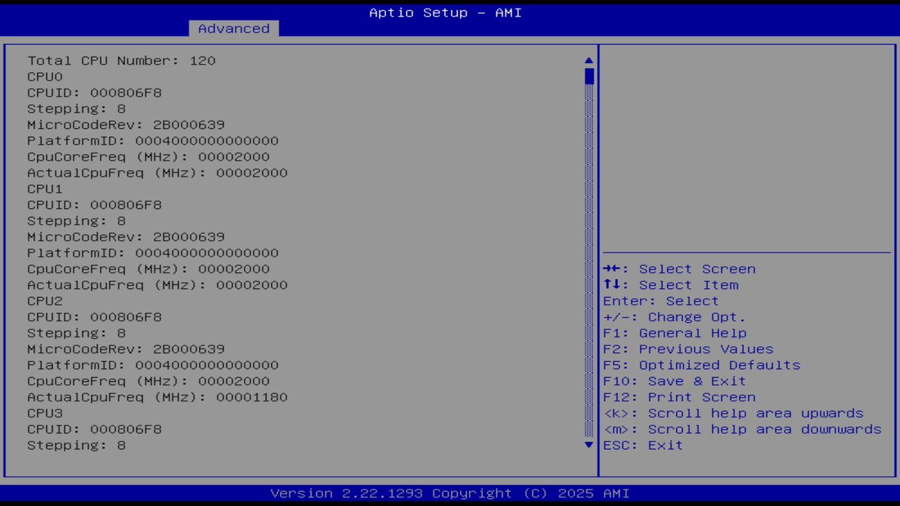 BIOS screenshot thumbnail
