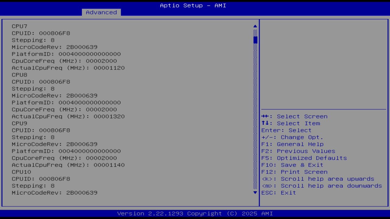 BIOS screenshot thumbnail