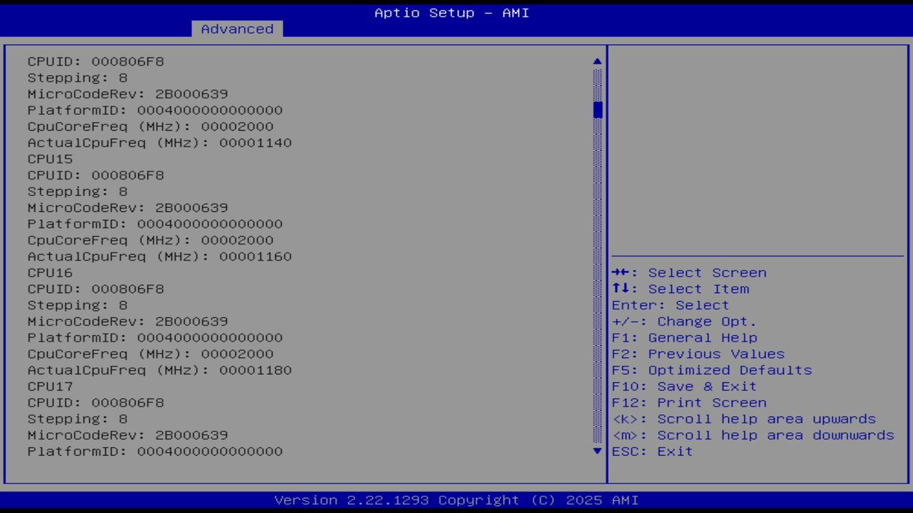 BIOS screenshot thumbnail