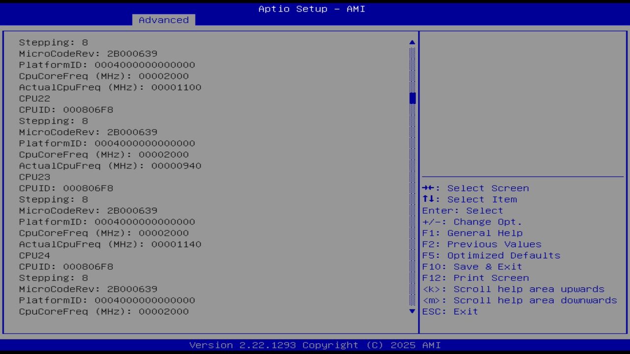 BIOS screenshot thumbnail