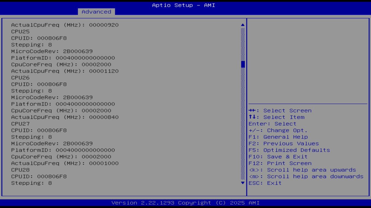 BIOS screenshot thumbnail