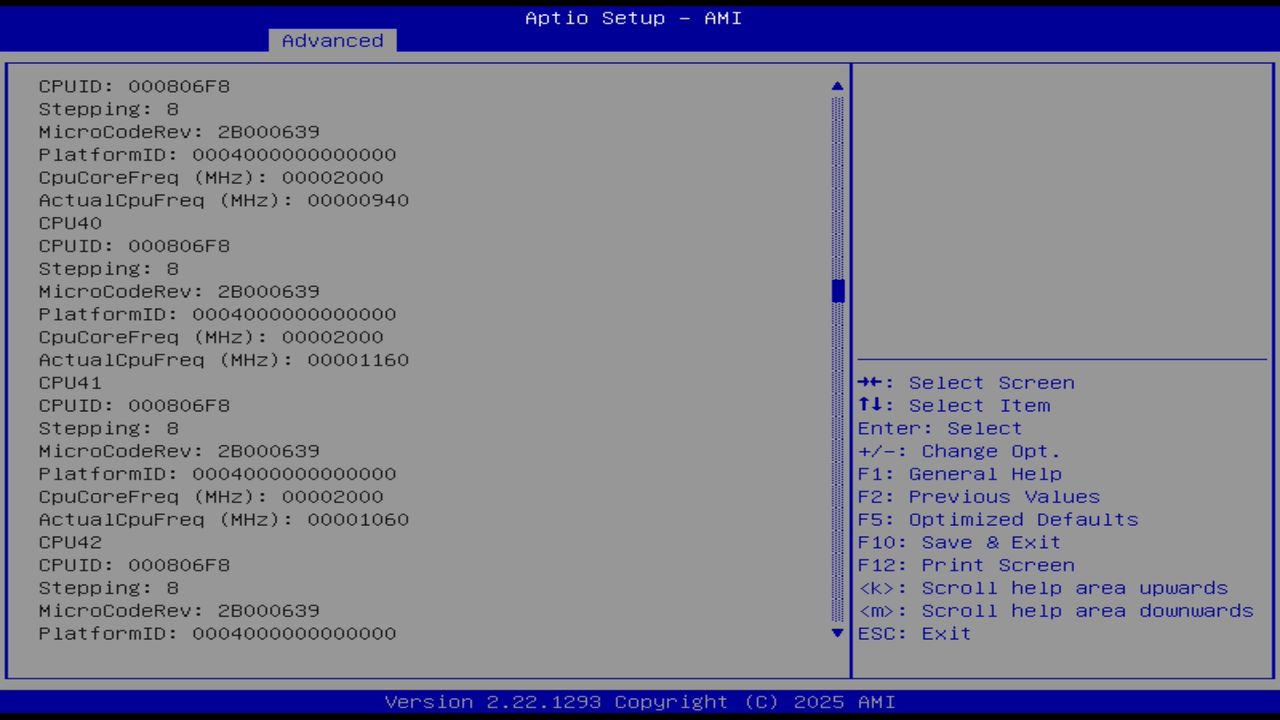 BIOS screenshot thumbnail