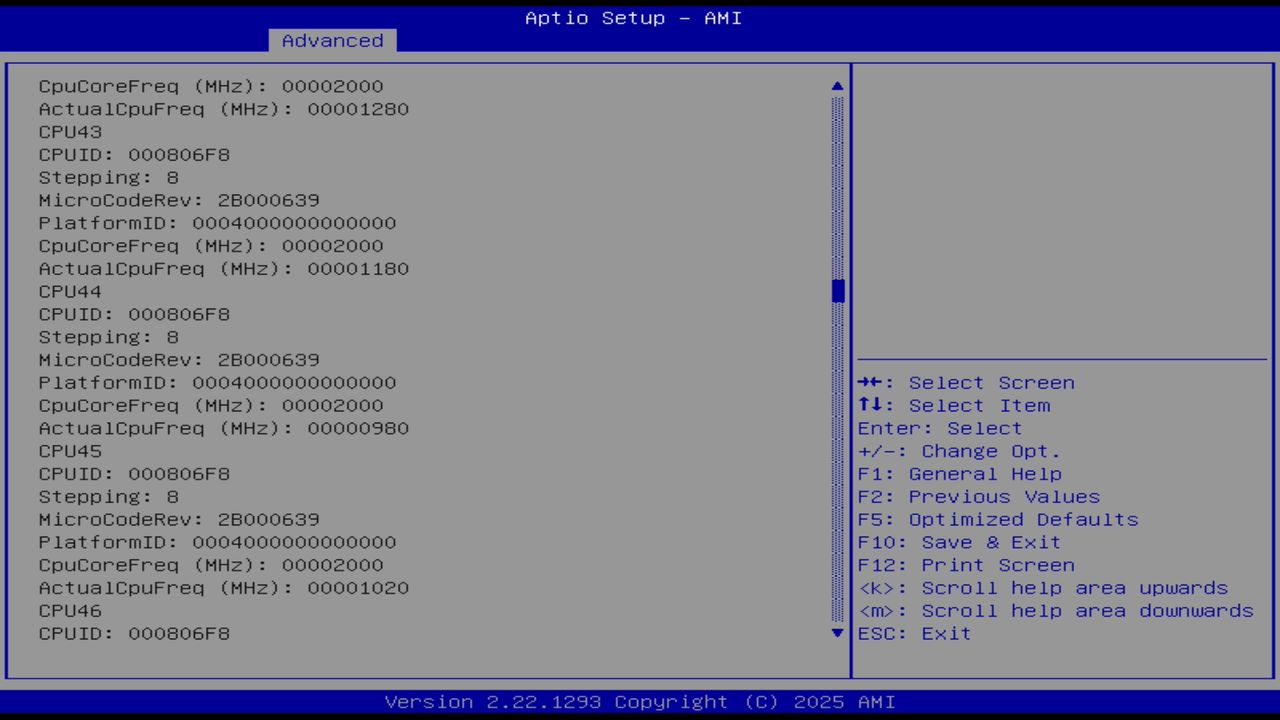 BIOS screenshot thumbnail