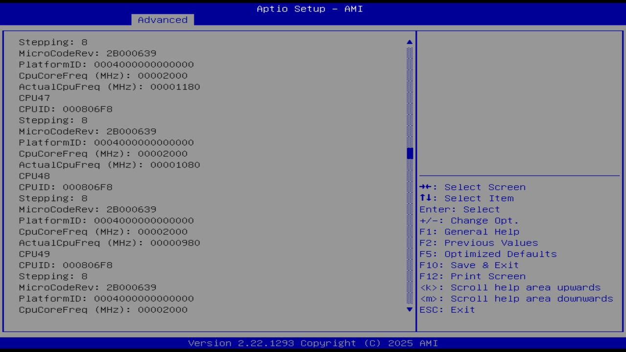 BIOS screenshot thumbnail