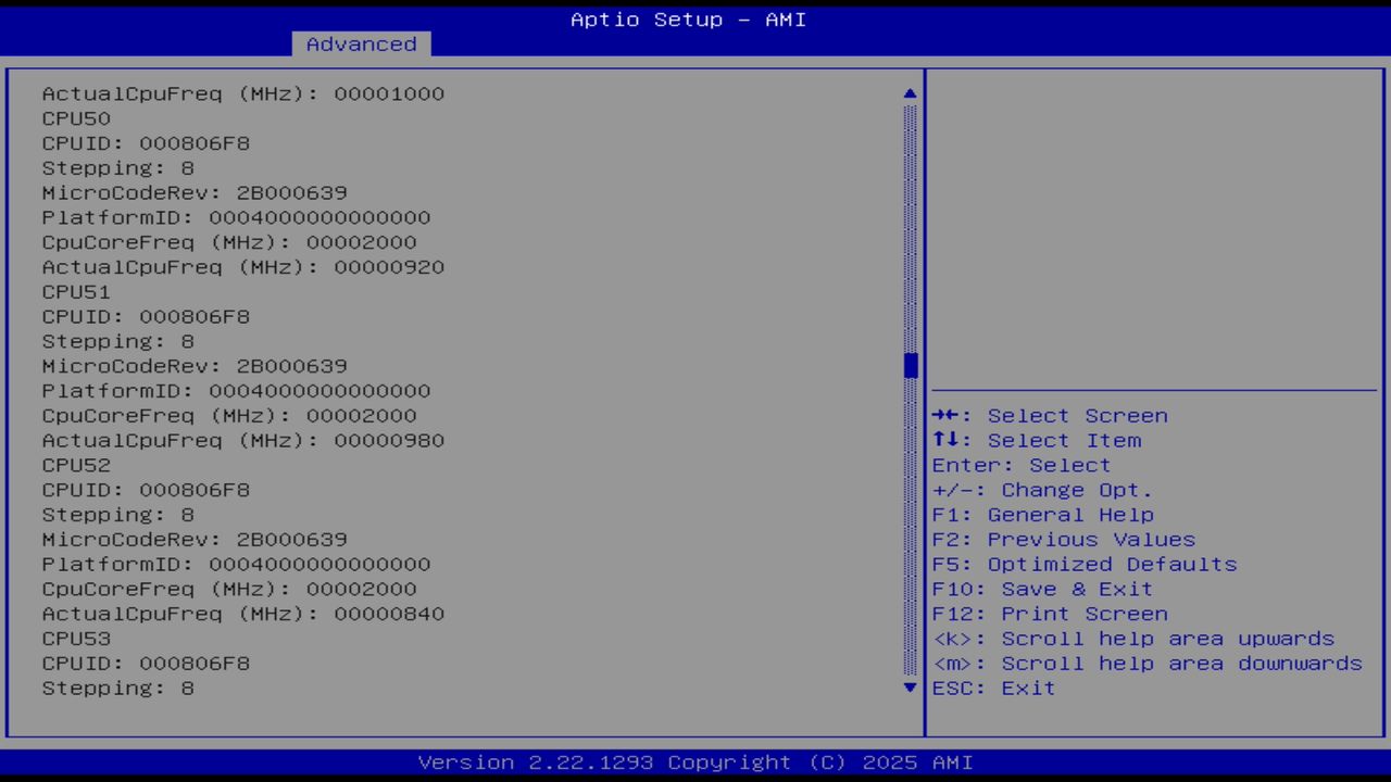 BIOS screenshot thumbnail