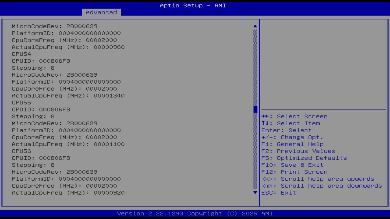 BIOS screenshot thumbnail
