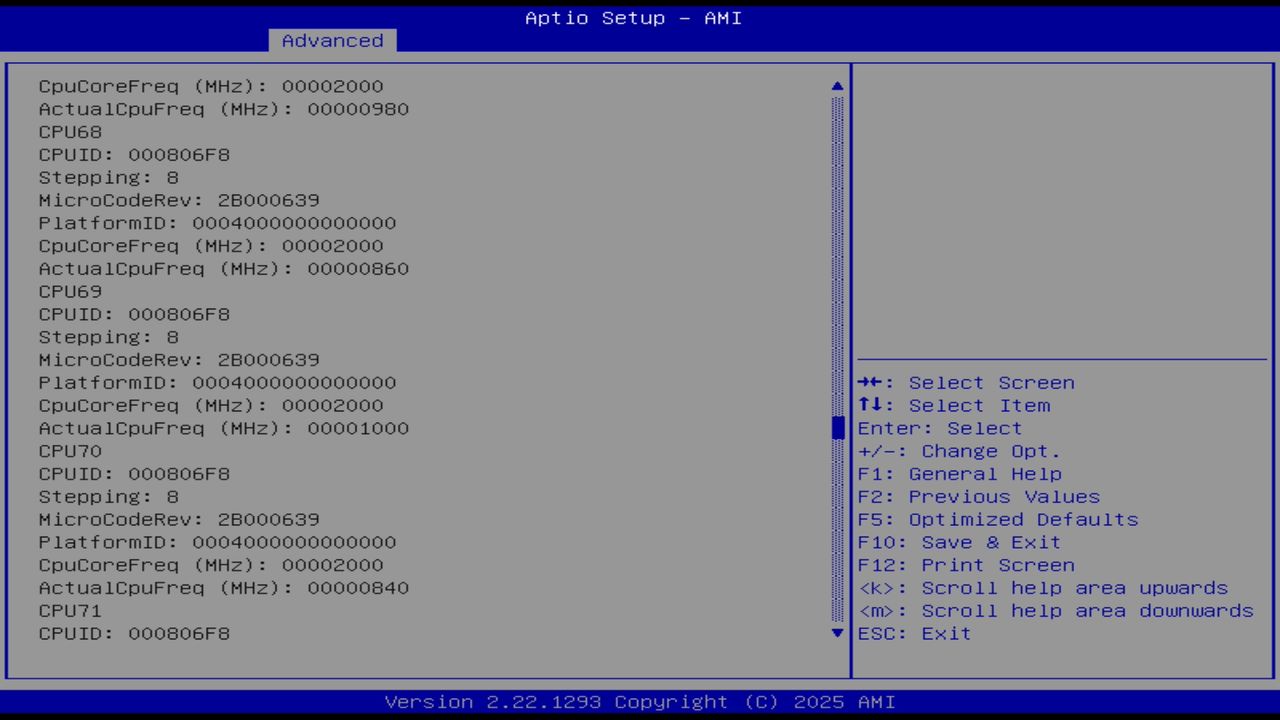 BIOS screenshot thumbnail