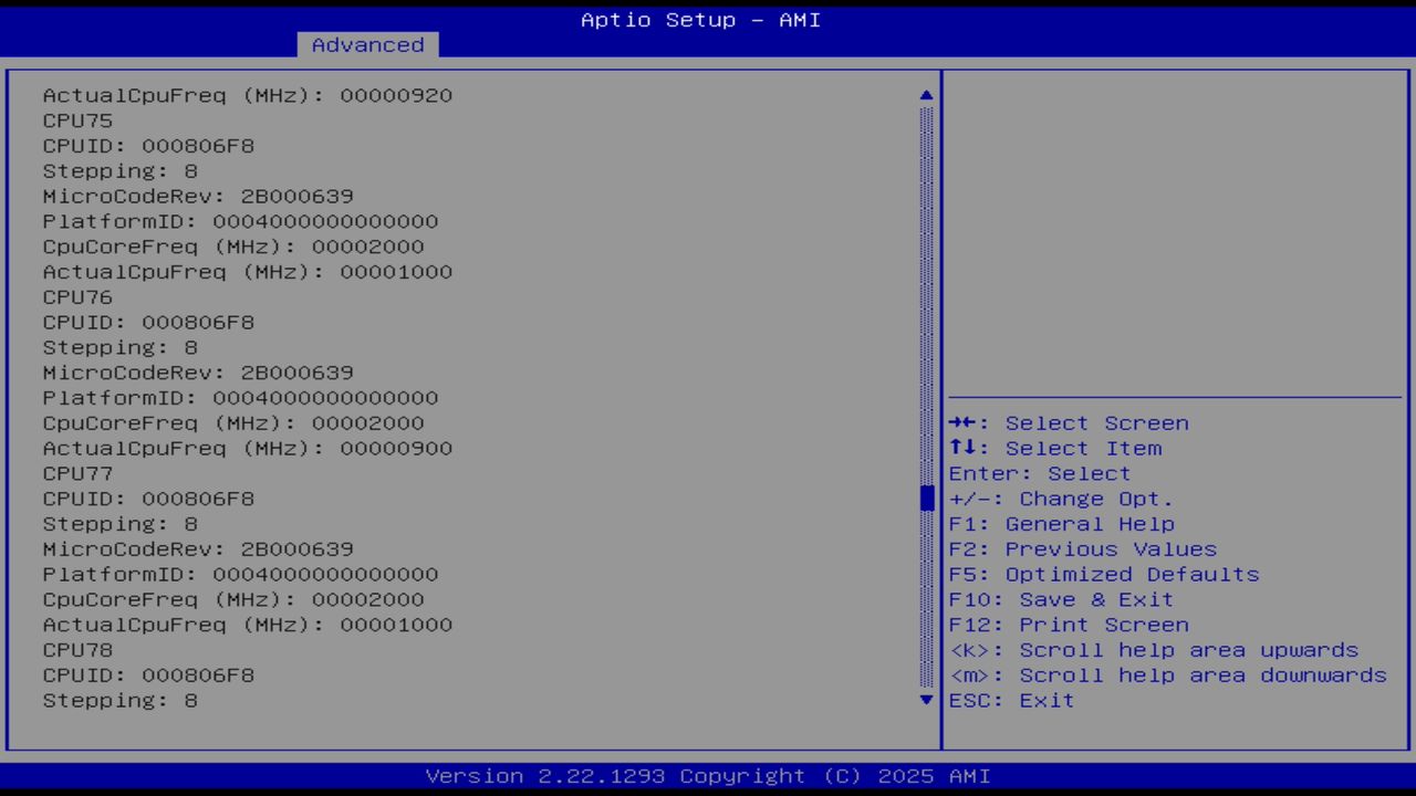 BIOS screenshot thumbnail