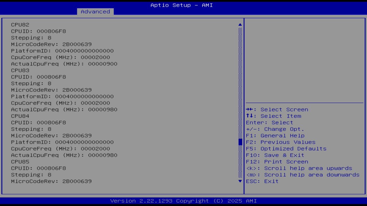 BIOS screenshot thumbnail