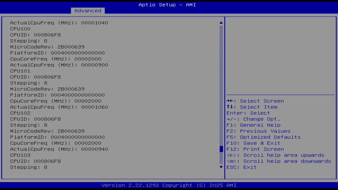 BIOS screenshot thumbnail