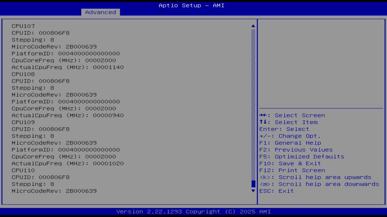 BIOS screenshot thumbnail