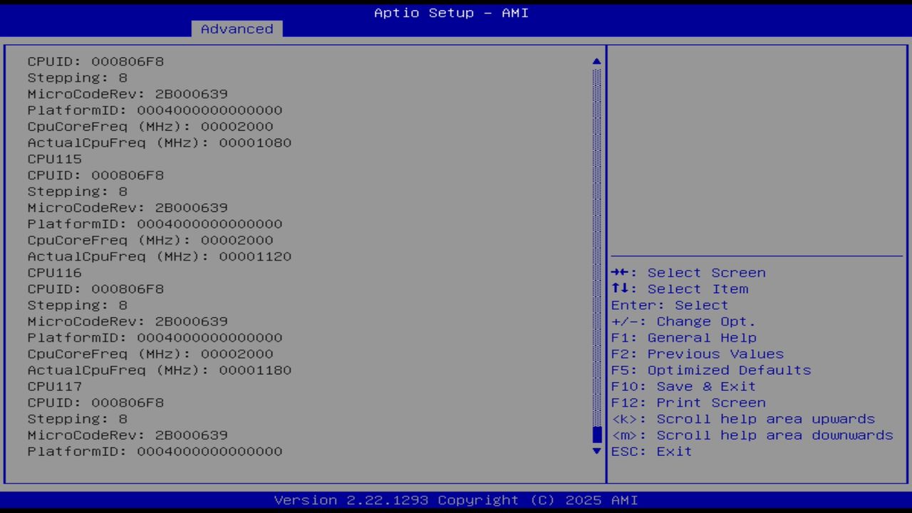 BIOS screenshot thumbnail