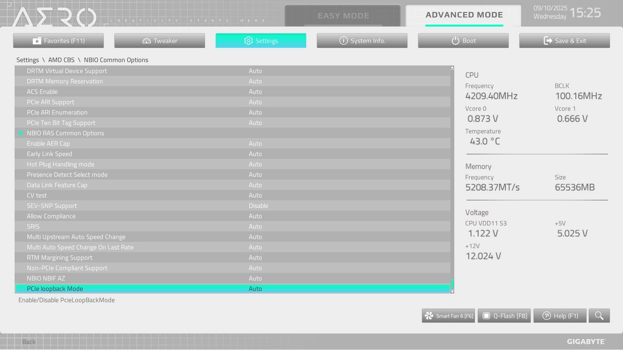 BIOS screenshot thumbnail