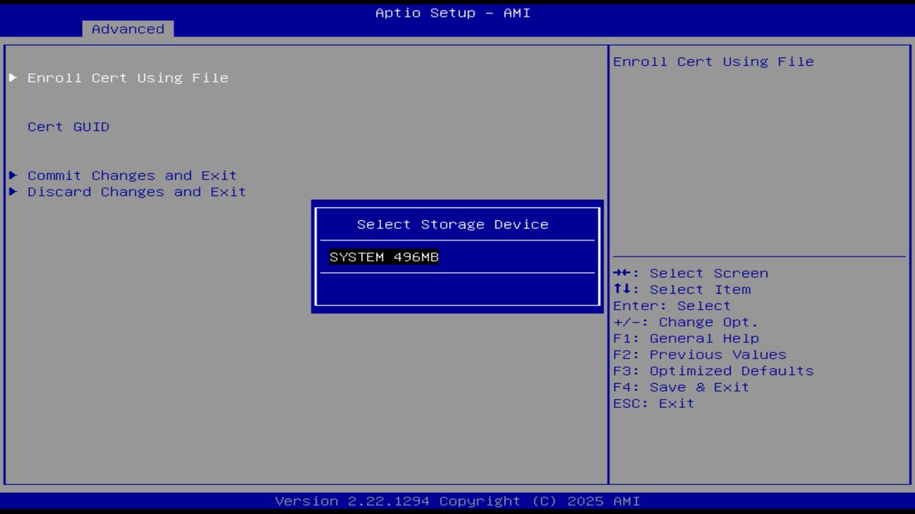 BIOS screenshot thumbnail