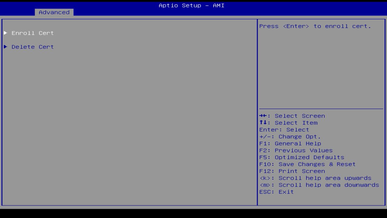 BIOS screenshot thumbnail