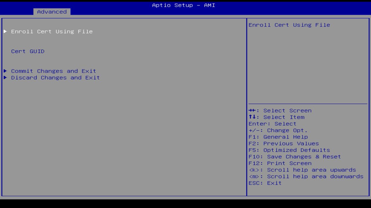 BIOS screenshot thumbnail