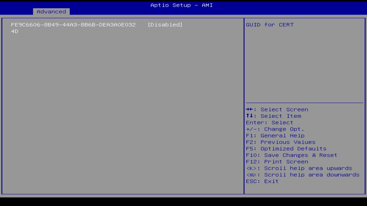 BIOS screenshot thumbnail