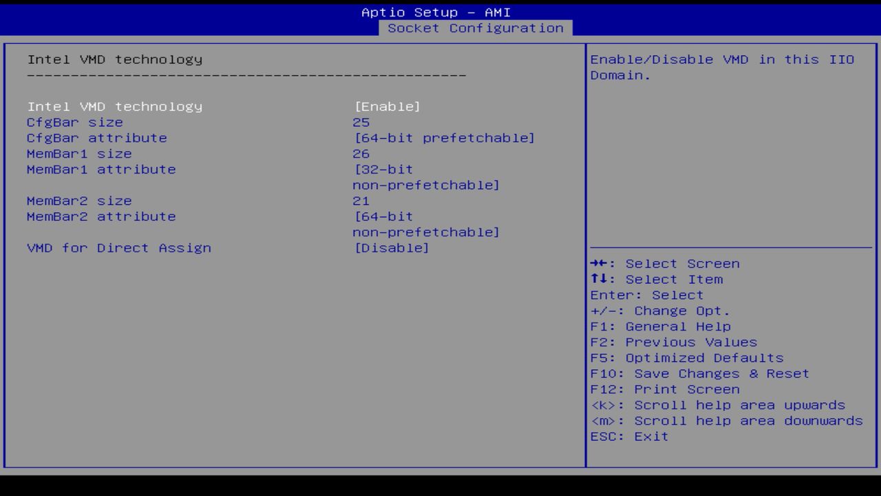 BIOS screenshot thumbnail