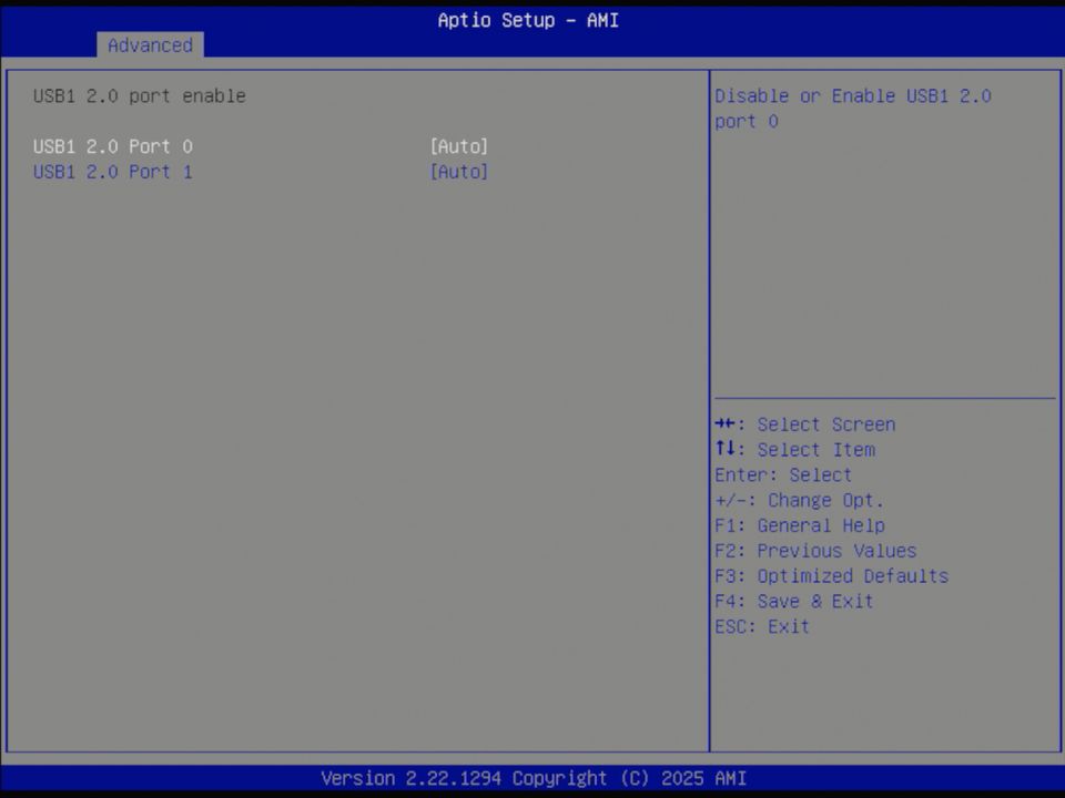BIOS screenshot thumbnail
