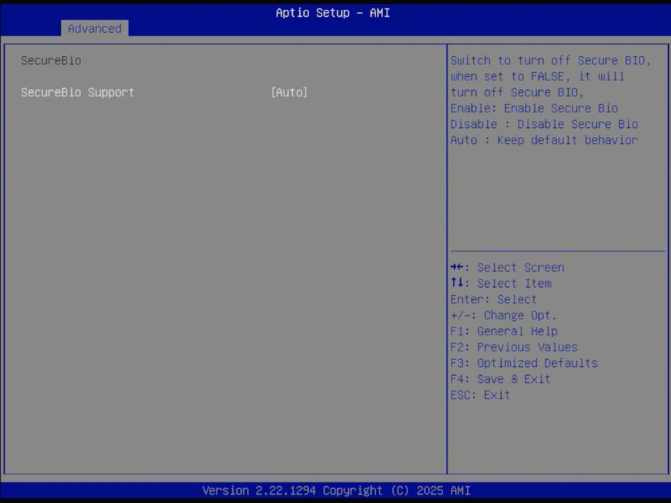 BIOS screenshot thumbnail