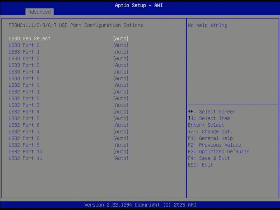 BIOS screenshot thumbnail