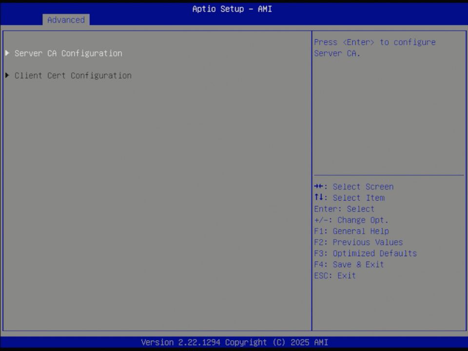 BIOS screenshot thumbnail