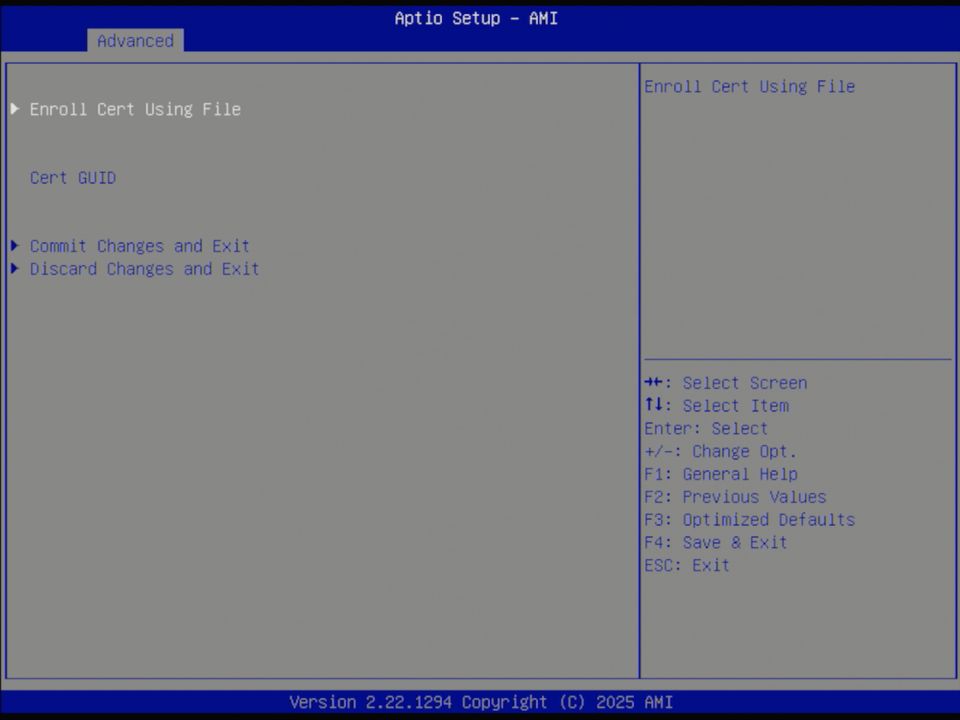 BIOS screenshot thumbnail