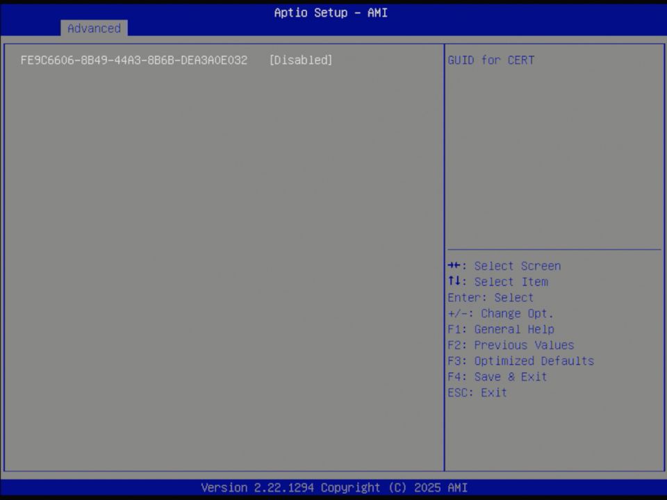 BIOS screenshot thumbnail