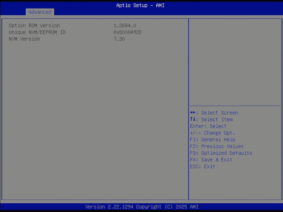 BIOS screenshot thumbnail