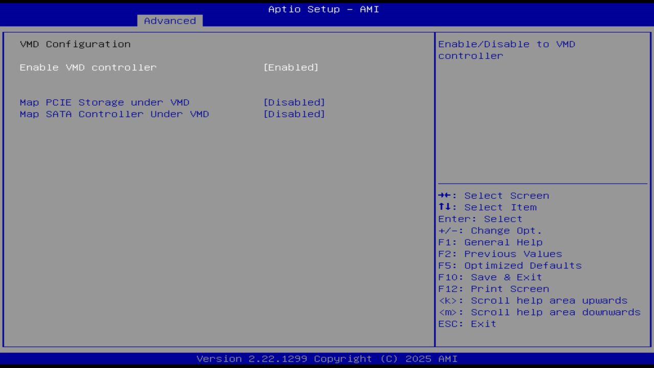 BIOS screenshot thumbnail