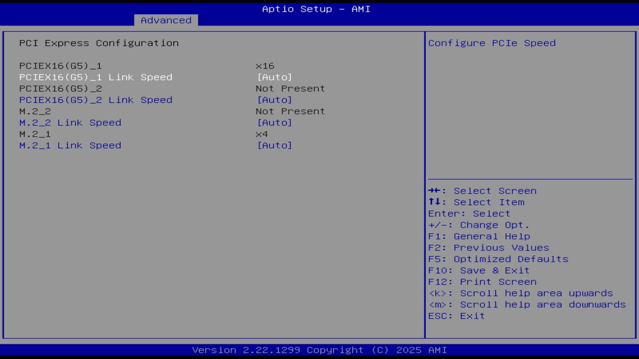 BIOS screenshot thumbnail