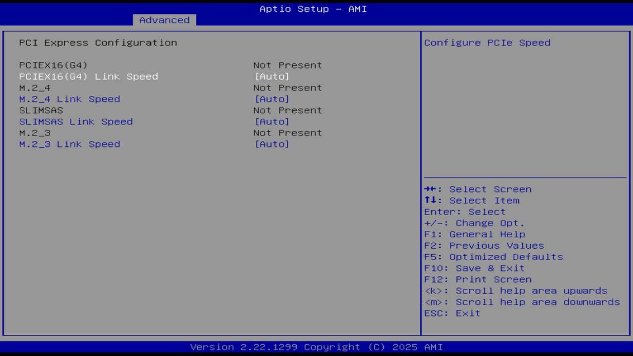 BIOS screenshot thumbnail
