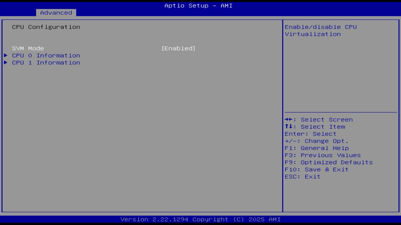 BIOS screenshot thumbnail
