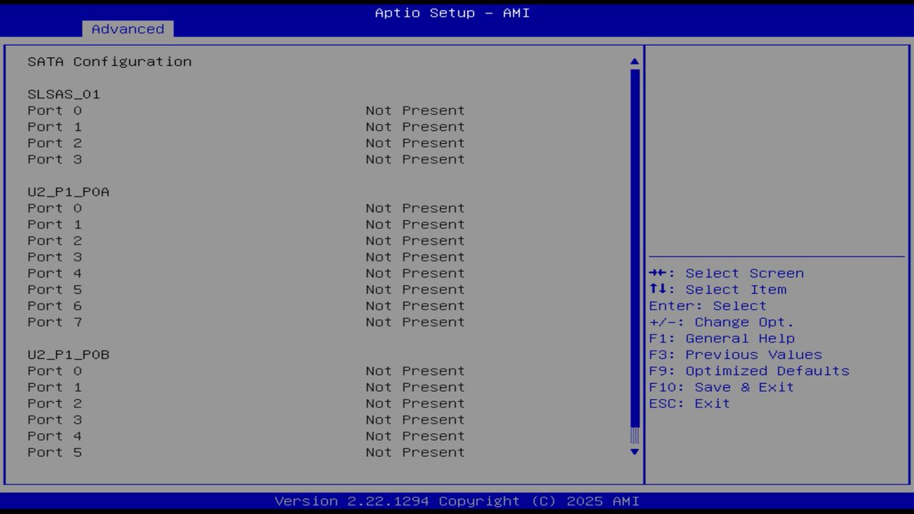 BIOS screenshot thumbnail