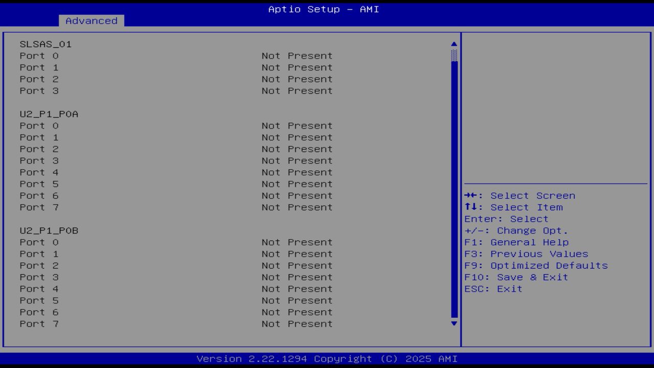 BIOS screenshot thumbnail