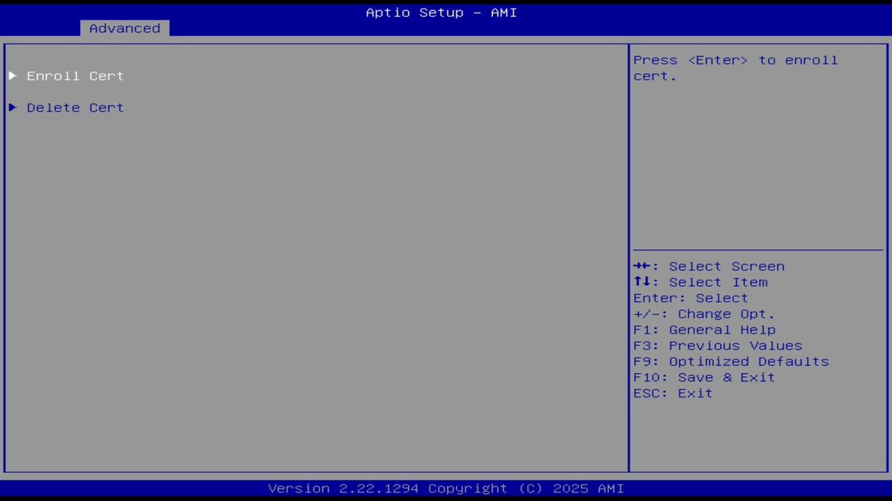 BIOS screenshot thumbnail