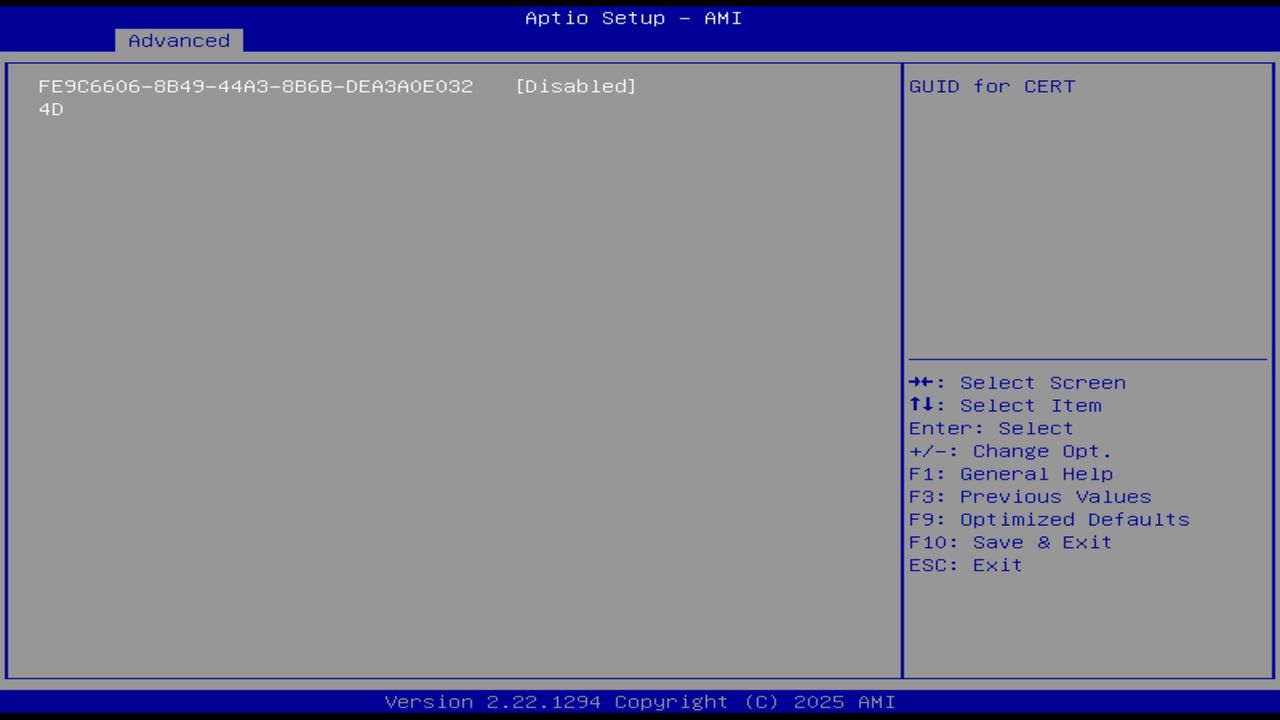 BIOS screenshot thumbnail