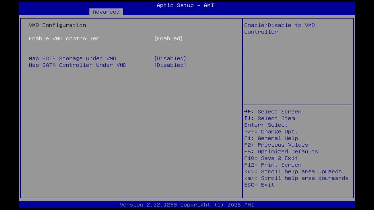 BIOS screenshot thumbnail