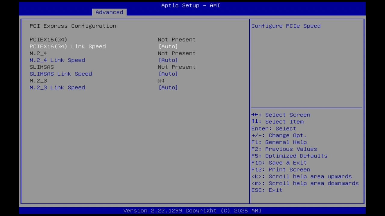 BIOS screenshot thumbnail